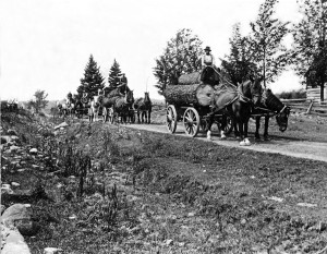 logging-lanark-county