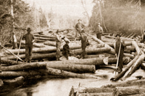 logs-on-river